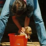 wash_the_dog