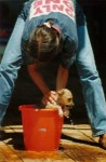Tips Memandikan Anjing 